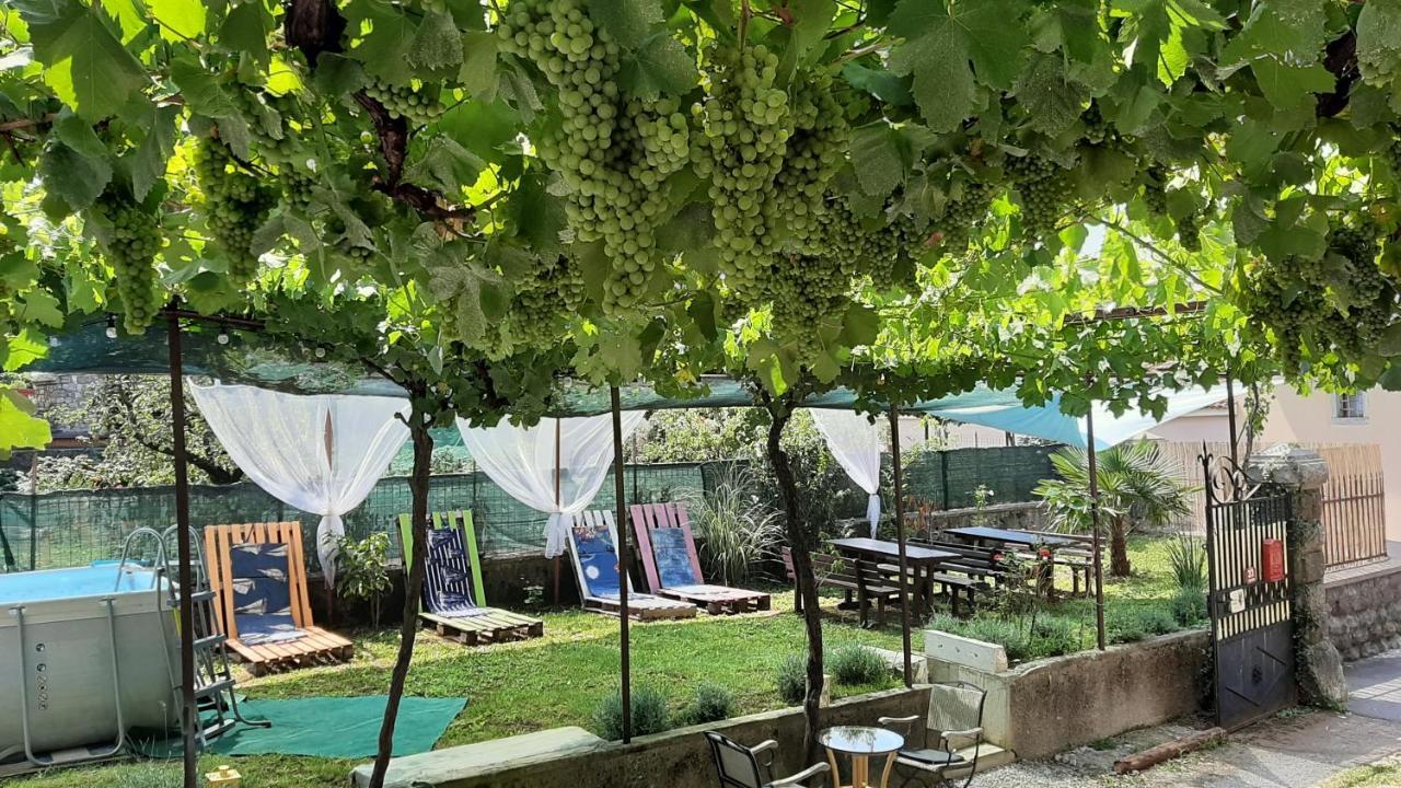 Komen Residence Muzica Bed And Breakfast מראה חיצוני תמונה